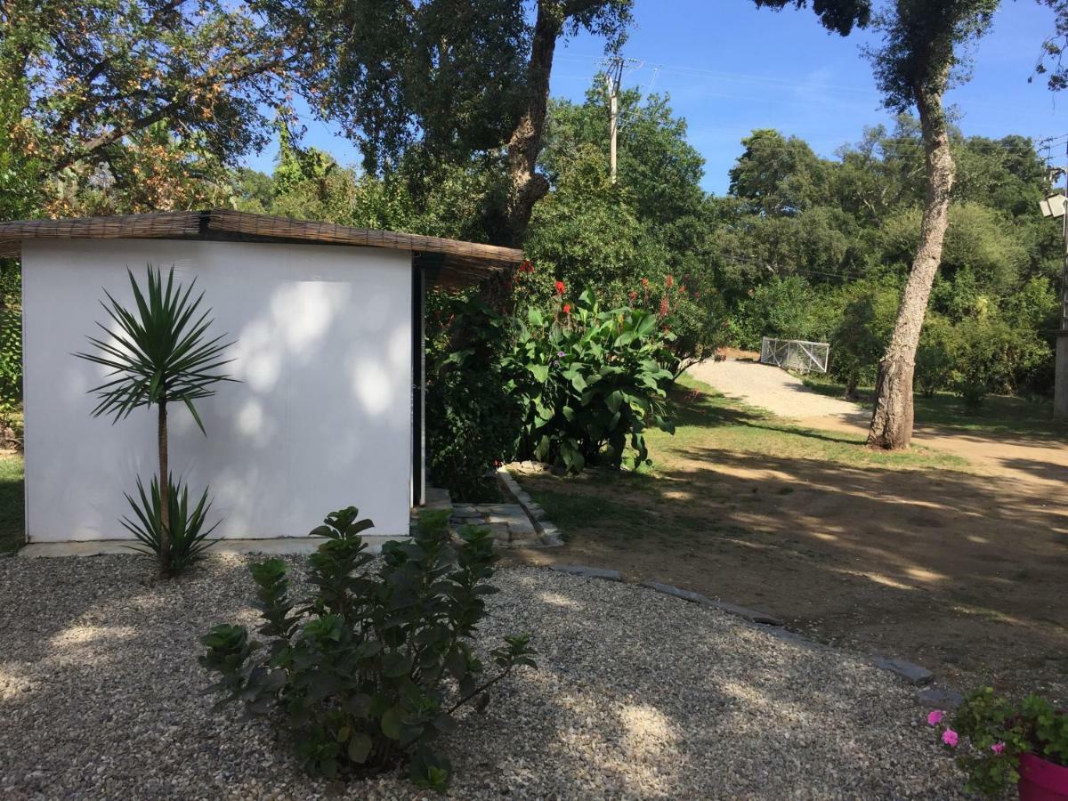 Studio 1.5 km mer et 2 km cascade Santa-Maria-Poggio (Corsica) Exterior foto